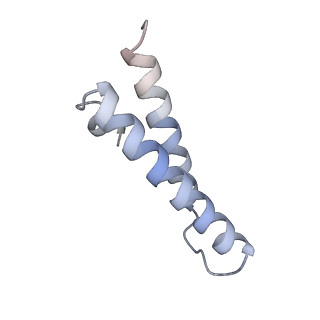 21468_6vyq_e_v1-2
Escherichia coli transcription-translation complex A1 (TTC-A1) containing an 15 nt long mRNA spacer, NusG, and fMet-tRNAs at E-site and P-site