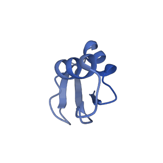 21468_6vyq_f_v1-2
Escherichia coli transcription-translation complex A1 (TTC-A1) containing an 15 nt long mRNA spacer, NusG, and fMet-tRNAs at E-site and P-site