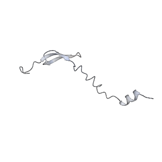 21468_6vyq_g_v1-2
Escherichia coli transcription-translation complex A1 (TTC-A1) containing an 15 nt long mRNA spacer, NusG, and fMet-tRNAs at E-site and P-site