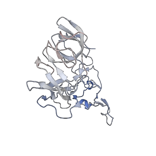 21468_6vyq_h_v1-2
Escherichia coli transcription-translation complex A1 (TTC-A1) containing an 15 nt long mRNA spacer, NusG, and fMet-tRNAs at E-site and P-site