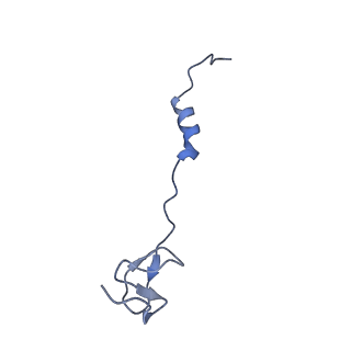 21468_6vyq_i_v1-2
Escherichia coli transcription-translation complex A1 (TTC-A1) containing an 15 nt long mRNA spacer, NusG, and fMet-tRNAs at E-site and P-site