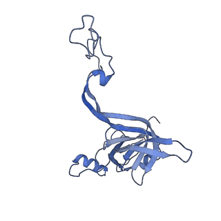 21468_6vyq_j_v1-2
Escherichia coli transcription-translation complex A1 (TTC-A1) containing an 15 nt long mRNA spacer, NusG, and fMet-tRNAs at E-site and P-site