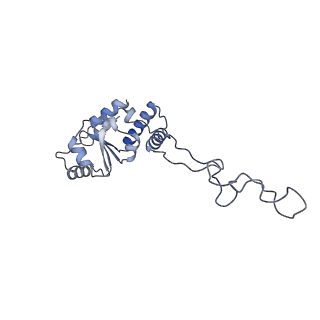 21468_6vyq_l_v1-2
Escherichia coli transcription-translation complex A1 (TTC-A1) containing an 15 nt long mRNA spacer, NusG, and fMet-tRNAs at E-site and P-site