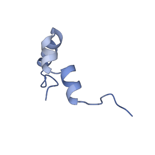 21468_6vyq_m_v1-2
Escherichia coli transcription-translation complex A1 (TTC-A1) containing an 15 nt long mRNA spacer, NusG, and fMet-tRNAs at E-site and P-site