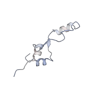 21468_6vyq_o_v1-2
Escherichia coli transcription-translation complex A1 (TTC-A1) containing an 15 nt long mRNA spacer, NusG, and fMet-tRNAs at E-site and P-site
