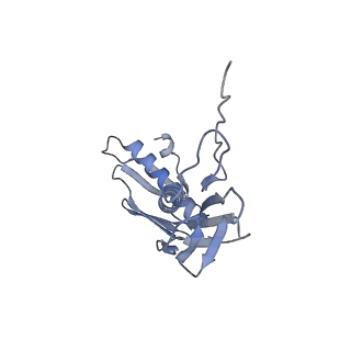 21468_6vyq_p_v1-2
Escherichia coli transcription-translation complex A1 (TTC-A1) containing an 15 nt long mRNA spacer, NusG, and fMet-tRNAs at E-site and P-site
