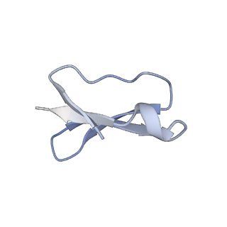 21468_6vyq_q_v1-2
Escherichia coli transcription-translation complex A1 (TTC-A1) containing an 15 nt long mRNA spacer, NusG, and fMet-tRNAs at E-site and P-site