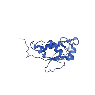 21468_6vyq_s_v1-2
Escherichia coli transcription-translation complex A1 (TTC-A1) containing an 15 nt long mRNA spacer, NusG, and fMet-tRNAs at E-site and P-site