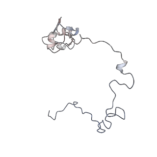 21468_6vyq_u_v1-2
Escherichia coli transcription-translation complex A1 (TTC-A1) containing an 15 nt long mRNA spacer, NusG, and fMet-tRNAs at E-site and P-site