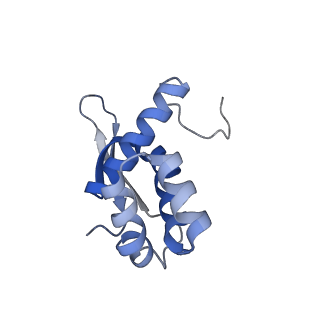 21468_6vyq_w_v1-2
Escherichia coli transcription-translation complex A1 (TTC-A1) containing an 15 nt long mRNA spacer, NusG, and fMet-tRNAs at E-site and P-site