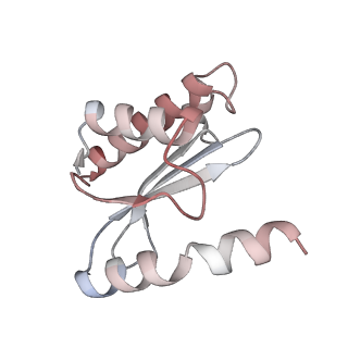 21468_6vyq_x_v1-2
Escherichia coli transcription-translation complex A1 (TTC-A1) containing an 15 nt long mRNA spacer, NusG, and fMet-tRNAs at E-site and P-site