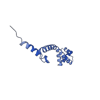 21468_6vyq_z_v1-2
Escherichia coli transcription-translation complex A1 (TTC-A1) containing an 15 nt long mRNA spacer, NusG, and fMet-tRNAs at E-site and P-site