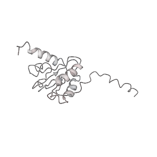 21469_6vyr_9_v1-2
Escherichia coli transcription-translation complex A1 (TTC-A1) containing an 18 nt long mRNA spacer, NusG, and fMet-tRNAs at E-site and P-site