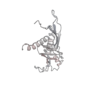 21469_6vyr_AC_v1-2
Escherichia coli transcription-translation complex A1 (TTC-A1) containing an 18 nt long mRNA spacer, NusG, and fMet-tRNAs at E-site and P-site