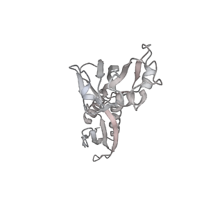 21469_6vyr_AD_v1-2
Escherichia coli transcription-translation complex A1 (TTC-A1) containing an 18 nt long mRNA spacer, NusG, and fMet-tRNAs at E-site and P-site