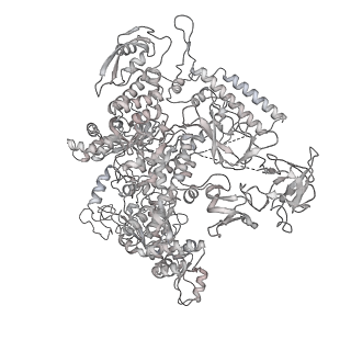 21469_6vyr_AE_v1-2
Escherichia coli transcription-translation complex A1 (TTC-A1) containing an 18 nt long mRNA spacer, NusG, and fMet-tRNAs at E-site and P-site