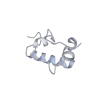 21469_6vyr_C_v1-2
Escherichia coli transcription-translation complex A1 (TTC-A1) containing an 18 nt long mRNA spacer, NusG, and fMet-tRNAs at E-site and P-site