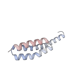 21469_6vyr_E_v1-2
Escherichia coli transcription-translation complex A1 (TTC-A1) containing an 18 nt long mRNA spacer, NusG, and fMet-tRNAs at E-site and P-site
