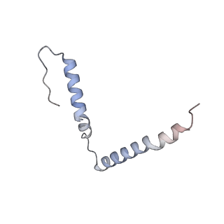 21469_6vyr_F_v1-2
Escherichia coli transcription-translation complex A1 (TTC-A1) containing an 18 nt long mRNA spacer, NusG, and fMet-tRNAs at E-site and P-site
