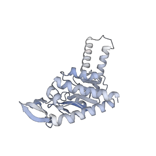 21469_6vyr_G_v1-2
Escherichia coli transcription-translation complex A1 (TTC-A1) containing an 18 nt long mRNA spacer, NusG, and fMet-tRNAs at E-site and P-site