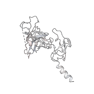 21469_6vyr_H_v1-2
Escherichia coli transcription-translation complex A1 (TTC-A1) containing an 18 nt long mRNA spacer, NusG, and fMet-tRNAs at E-site and P-site