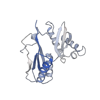 21469_6vyr_I_v1-2
Escherichia coli transcription-translation complex A1 (TTC-A1) containing an 18 nt long mRNA spacer, NusG, and fMet-tRNAs at E-site and P-site