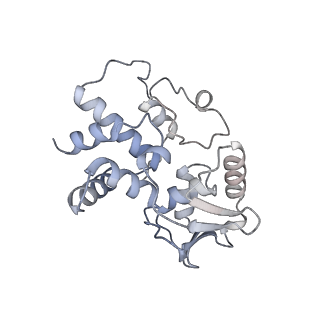 21469_6vyr_J_v1-2
Escherichia coli transcription-translation complex A1 (TTC-A1) containing an 18 nt long mRNA spacer, NusG, and fMet-tRNAs at E-site and P-site