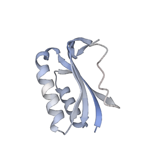 21469_6vyr_L_v1-2
Escherichia coli transcription-translation complex A1 (TTC-A1) containing an 18 nt long mRNA spacer, NusG, and fMet-tRNAs at E-site and P-site