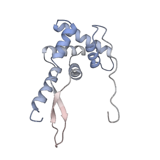 21469_6vyr_M_v1-2
Escherichia coli transcription-translation complex A1 (TTC-A1) containing an 18 nt long mRNA spacer, NusG, and fMet-tRNAs at E-site and P-site