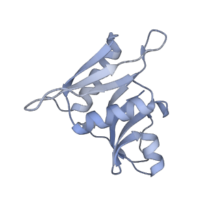 21469_6vyr_N_v1-2
Escherichia coli transcription-translation complex A1 (TTC-A1) containing an 18 nt long mRNA spacer, NusG, and fMet-tRNAs at E-site and P-site
