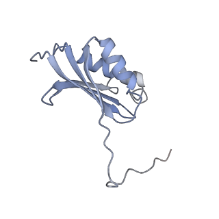 21469_6vyr_Q_v1-2
Escherichia coli transcription-translation complex A1 (TTC-A1) containing an 18 nt long mRNA spacer, NusG, and fMet-tRNAs at E-site and P-site