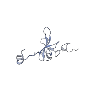 21469_6vyr_R_v1-2
Escherichia coli transcription-translation complex A1 (TTC-A1) containing an 18 nt long mRNA spacer, NusG, and fMet-tRNAs at E-site and P-site