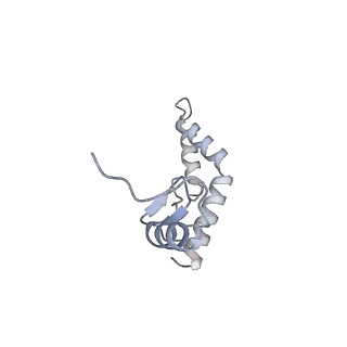21469_6vyr_S_v1-2
Escherichia coli transcription-translation complex A1 (TTC-A1) containing an 18 nt long mRNA spacer, NusG, and fMet-tRNAs at E-site and P-site