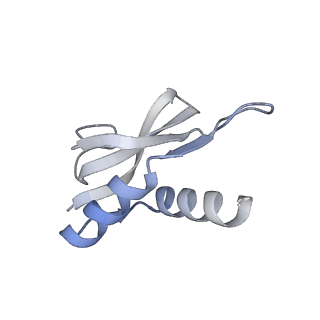 21469_6vyr_U_v1-2
Escherichia coli transcription-translation complex A1 (TTC-A1) containing an 18 nt long mRNA spacer, NusG, and fMet-tRNAs at E-site and P-site