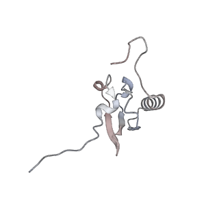 21469_6vyr_W_v1-2
Escherichia coli transcription-translation complex A1 (TTC-A1) containing an 18 nt long mRNA spacer, NusG, and fMet-tRNAs at E-site and P-site