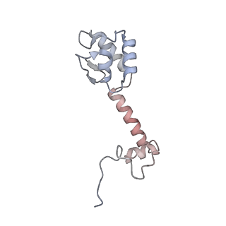 21469_6vyr_X_v1-2
Escherichia coli transcription-translation complex A1 (TTC-A1) containing an 18 nt long mRNA spacer, NusG, and fMet-tRNAs at E-site and P-site