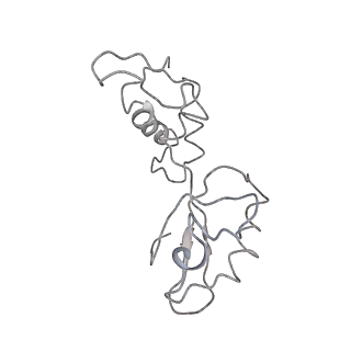21469_6vyr_Y_v1-2
Escherichia coli transcription-translation complex A1 (TTC-A1) containing an 18 nt long mRNA spacer, NusG, and fMet-tRNAs at E-site and P-site