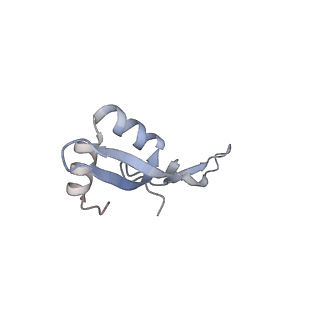 21469_6vyr_c_v1-2
Escherichia coli transcription-translation complex A1 (TTC-A1) containing an 18 nt long mRNA spacer, NusG, and fMet-tRNAs at E-site and P-site
