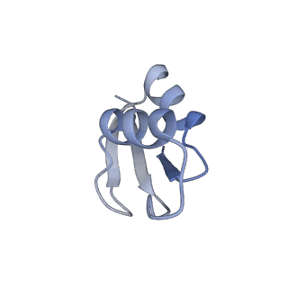 21469_6vyr_f_v1-2
Escherichia coli transcription-translation complex A1 (TTC-A1) containing an 18 nt long mRNA spacer, NusG, and fMet-tRNAs at E-site and P-site