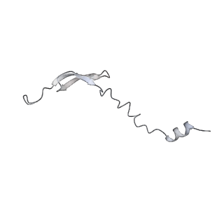 21469_6vyr_g_v1-2
Escherichia coli transcription-translation complex A1 (TTC-A1) containing an 18 nt long mRNA spacer, NusG, and fMet-tRNAs at E-site and P-site