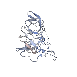21469_6vyr_h_v1-2
Escherichia coli transcription-translation complex A1 (TTC-A1) containing an 18 nt long mRNA spacer, NusG, and fMet-tRNAs at E-site and P-site