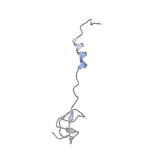21469_6vyr_i_v1-2
Escherichia coli transcription-translation complex A1 (TTC-A1) containing an 18 nt long mRNA spacer, NusG, and fMet-tRNAs at E-site and P-site
