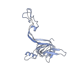 21469_6vyr_j_v1-2
Escherichia coli transcription-translation complex A1 (TTC-A1) containing an 18 nt long mRNA spacer, NusG, and fMet-tRNAs at E-site and P-site