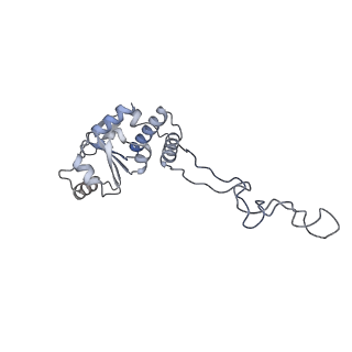 21469_6vyr_l_v1-2
Escherichia coli transcription-translation complex A1 (TTC-A1) containing an 18 nt long mRNA spacer, NusG, and fMet-tRNAs at E-site and P-site