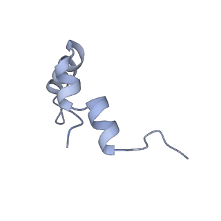 21469_6vyr_m_v1-2
Escherichia coli transcription-translation complex A1 (TTC-A1) containing an 18 nt long mRNA spacer, NusG, and fMet-tRNAs at E-site and P-site