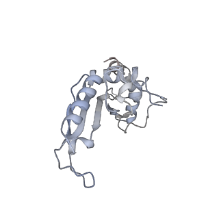 21469_6vyr_n_v1-2
Escherichia coli transcription-translation complex A1 (TTC-A1) containing an 18 nt long mRNA spacer, NusG, and fMet-tRNAs at E-site and P-site