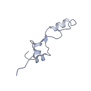 21469_6vyr_o_v1-2
Escherichia coli transcription-translation complex A1 (TTC-A1) containing an 18 nt long mRNA spacer, NusG, and fMet-tRNAs at E-site and P-site