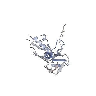 21469_6vyr_p_v1-2
Escherichia coli transcription-translation complex A1 (TTC-A1) containing an 18 nt long mRNA spacer, NusG, and fMet-tRNAs at E-site and P-site