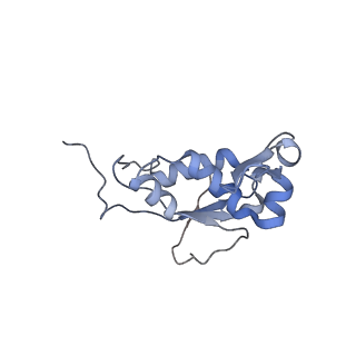 21469_6vyr_s_v1-2
Escherichia coli transcription-translation complex A1 (TTC-A1) containing an 18 nt long mRNA spacer, NusG, and fMet-tRNAs at E-site and P-site
