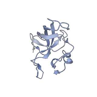 21469_6vyr_t_v1-2
Escherichia coli transcription-translation complex A1 (TTC-A1) containing an 18 nt long mRNA spacer, NusG, and fMet-tRNAs at E-site and P-site